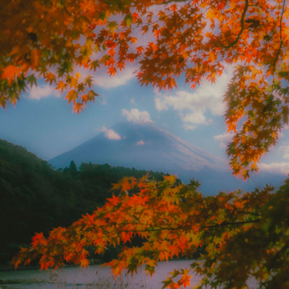 Workshop Dominio del Color - Adobe Lightroom y Camera RAW