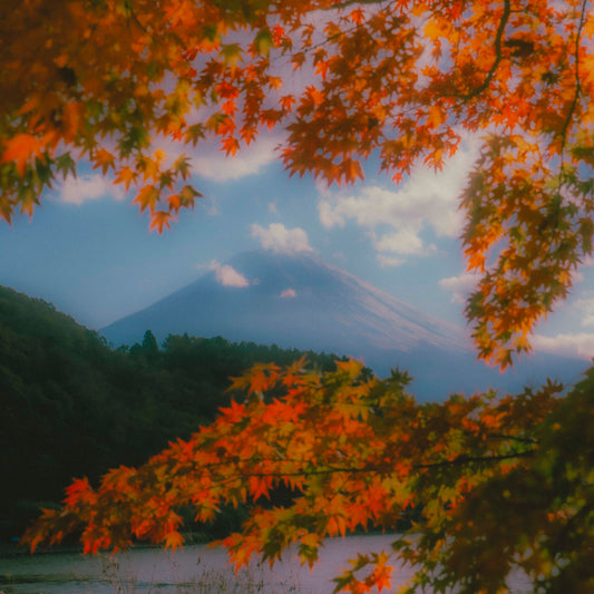 Workshop Dominio del Color - Adobe Lightroom y Camera RAW