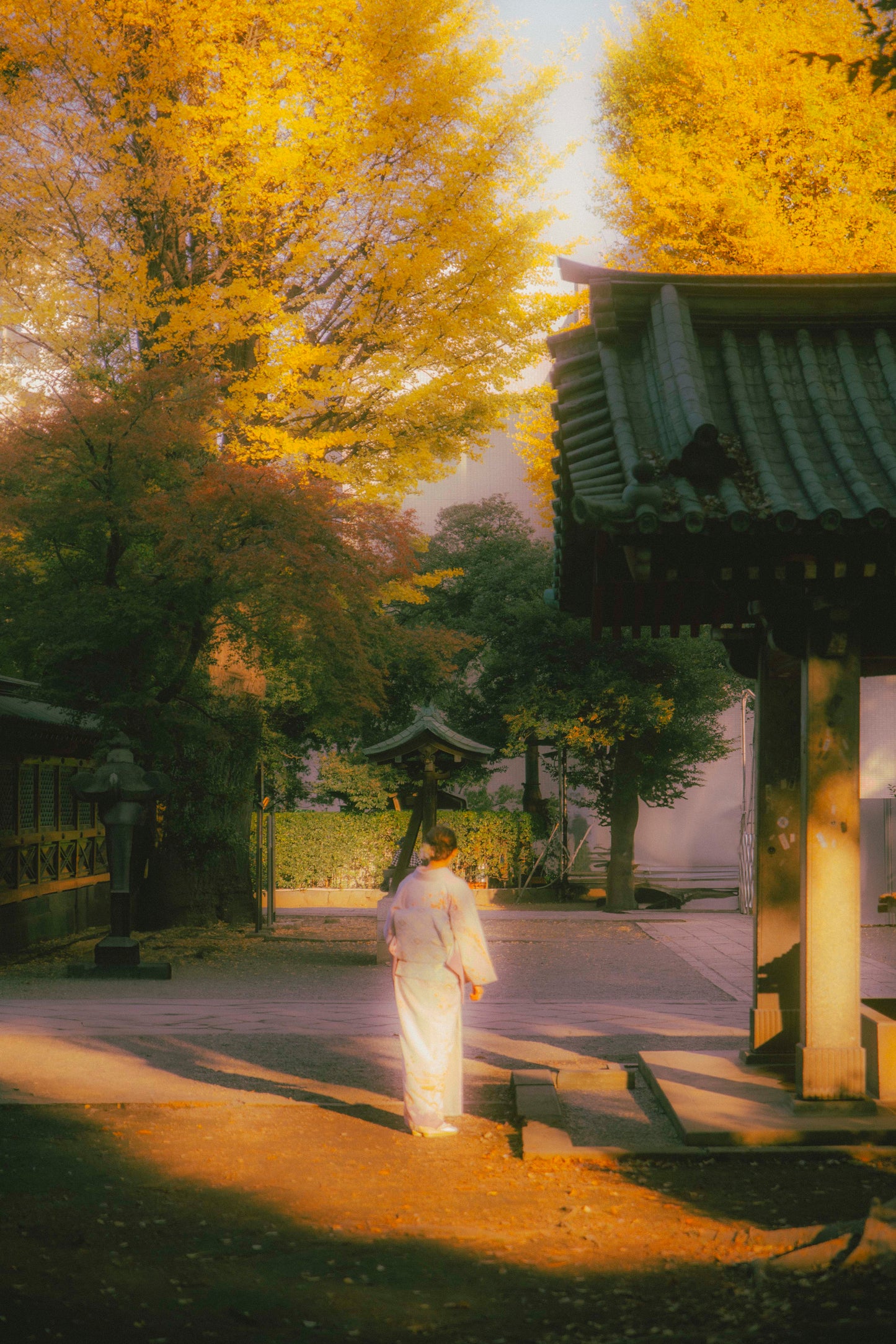 Workshop Dominio del Color - Adobe Lightroom y Camera RAW