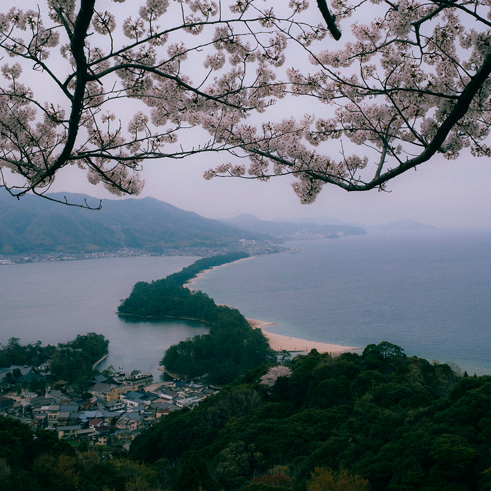 Guia Interactiva: Viaje Interior