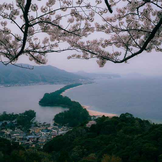 Guia Interactiva: Viaje Interior